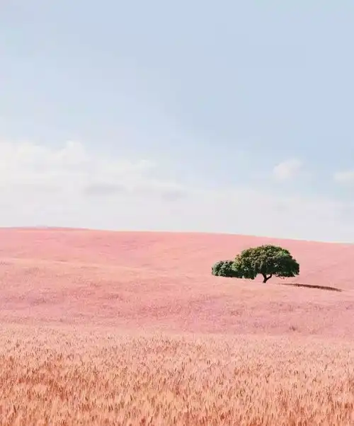 七言三观不同,心事难懂
