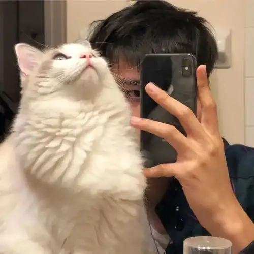 超帅的男生头像,有点酷
