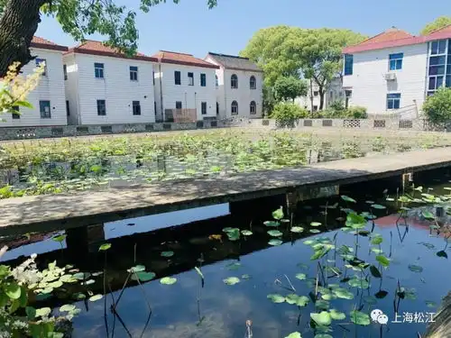 这样的小院,谁不爱
