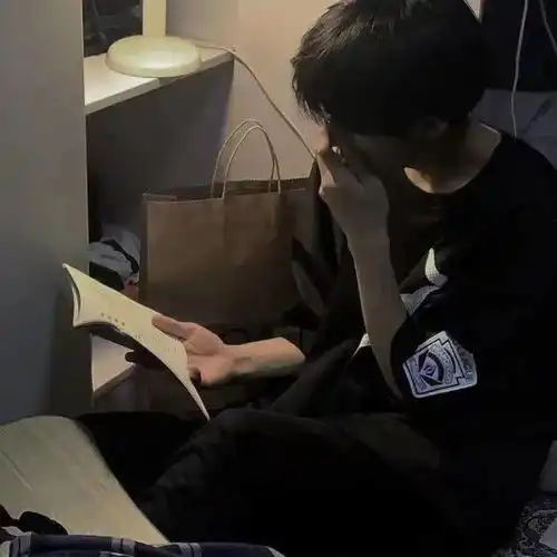 巨巨巨高质量的ins头像
