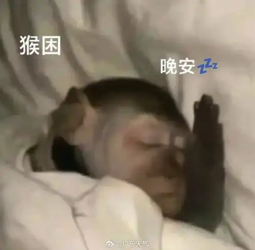 天气逐步转阴冷,盖好被子,早点睡吧晚安
