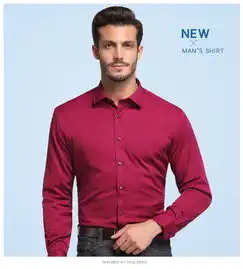 汤河之家冬季加绒保暖白衬衫男长袖修身免烫商务正装纯色职业加厚西装衬衣c
