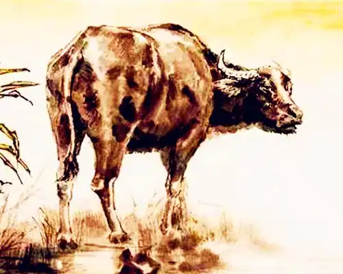 一周之内清除小人,迎来贵人,4大生肖光彩照人,好事盈门
