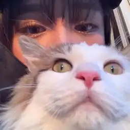 头像男抱猫失恋
