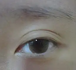 金秀风水经常走霉运的面相特征
