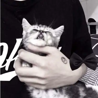 头像男抱猫动漫头像