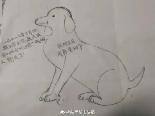 西安男子画漫画追忆丢失的爱狗感动众人
