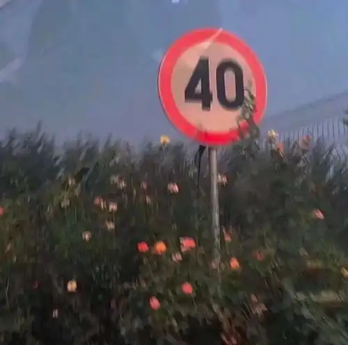 徒手摘心爱而不得世人万千再难唯美图片我要个性网
