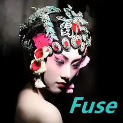 fuse
