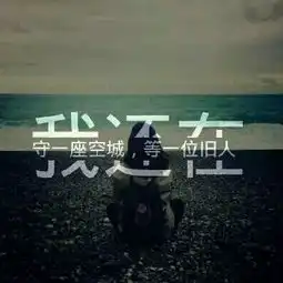 个人动态
