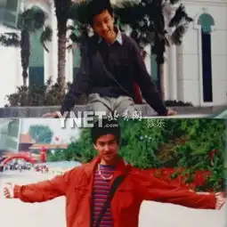 陈晓杨幂王菲明星童年旧照见证成长图
