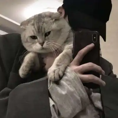 ins抱猫系列男生头像我想见你

