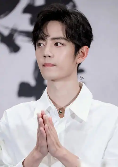 肖战海外粉丝让他去韩国走花路,只因肖战空降直播的背影,摁个棒
