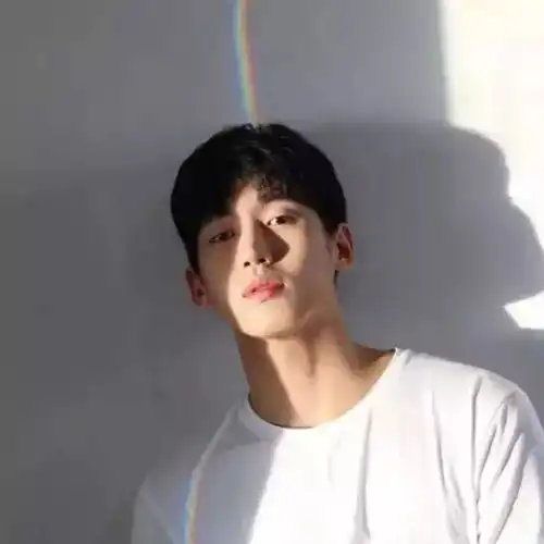 头像比起忽冷忽热的陪伴孤独更让人踏实
