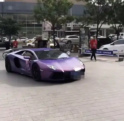 赵本山徒弟开5百万豪车娶妻,小12岁娇妻美艳,曾下跪帮他洗脚
