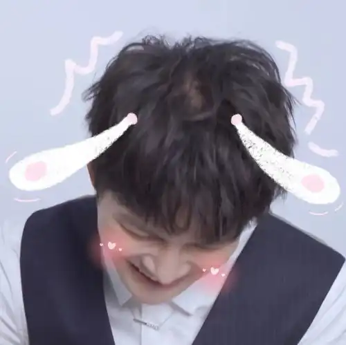 爱豆明星头像
