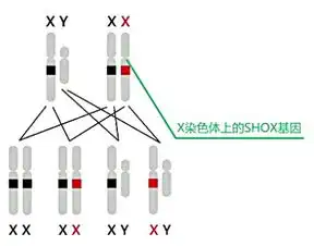 成年后还有可能再次增高5cm吗
