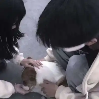 和你的偏爱一起跨年的文案
