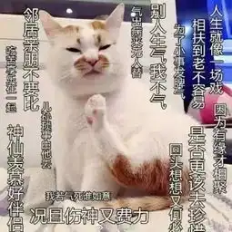 昨天有个人对我说佛系人生,施主随遇而安我...

