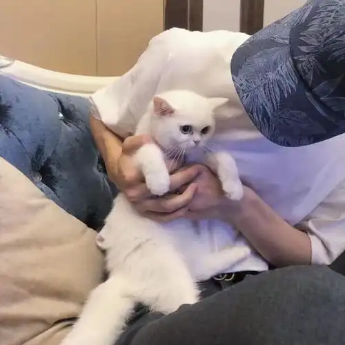 真人男头不露脸头像
