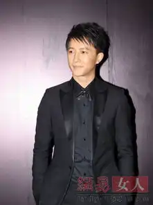 佟丽娅高圆圆黄晓明长得好看但没有魅力的明星
