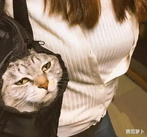 1200的洗浴和120的区别了总算知道了,怪不得男人喜欢贵的哈哈哈哈