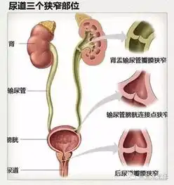 呵护脊柱关爱健康
