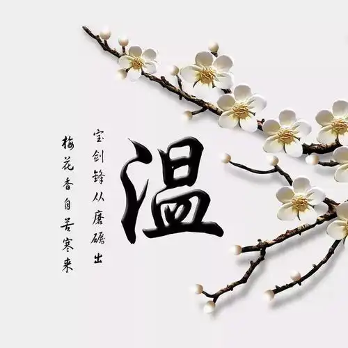 微信头像姓氏头像高清梅花版系列,美美哒,喜欢请带走
