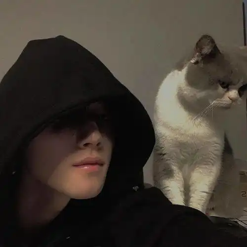 好看的头像已上线
