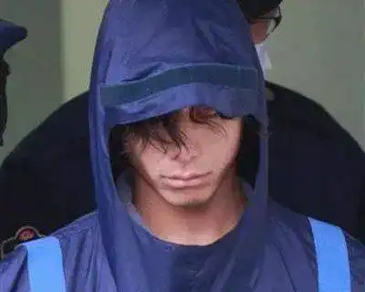 杀人犯突然爆红网络,无数女生抢着嫁我现在怀孕不方便,后续可以生
