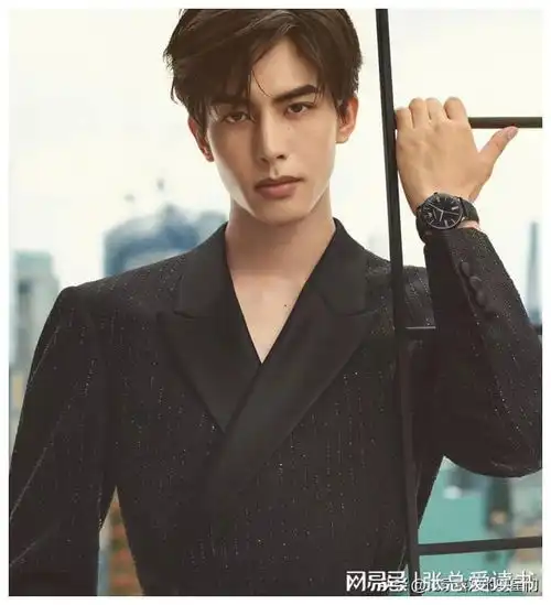 来看这两位实力派男演员长相帅气迷人十足演技精湛两人还有点像英俊男神宋威龙张凌赫墨雨云网易订阅
