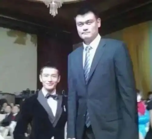 明星与姚明合影,每一位都成了侏儒,唯她仍显得高挑

