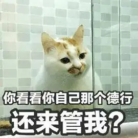 完美怼回直男的机智文案,我学会了
