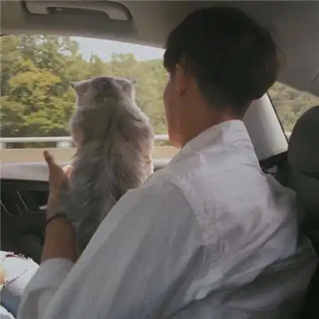 假装自己很坚强的说说难过却假装坚强的说说
