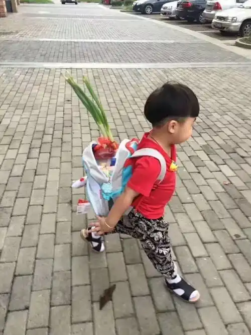 开学第一天,这个苏州小朋友背上两根大葱,手拎菱角去幼儿园....
