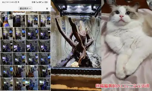 国内二次元情侣拍摄私密照被福利姬盗取宣传,莫名出圈后男主赶紧发文澄清