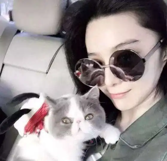眼镜男抱猫头像