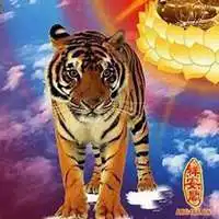 属虎本命年头像微信头像图片大全
