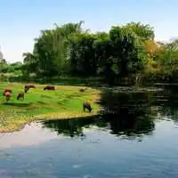 唯美风景头像风景美丽的风景画面
