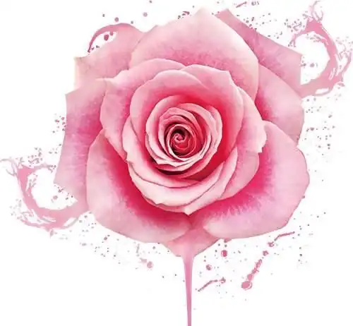 未来10年,没病没灾没负债的4个生肖,富贵有钱花,过上好日子
