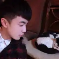 今日睡姿,决定明日发型
