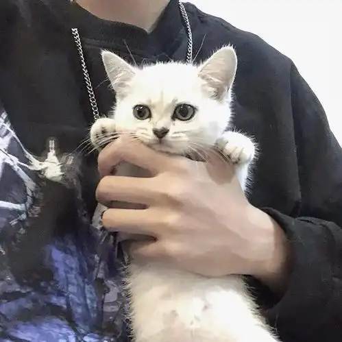头像精选
