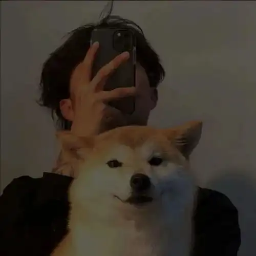 男生头像人们总是兴高采烈的去奔赴一场未知的悲剧
