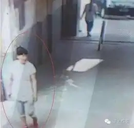 女子拐走3岁男童后染发扮成老太太

