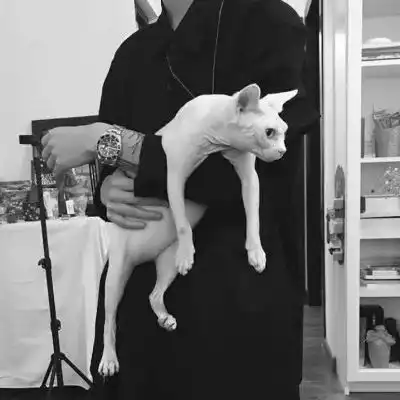 芯儿网络男神必备超拽部位男男生头像我要个性网
