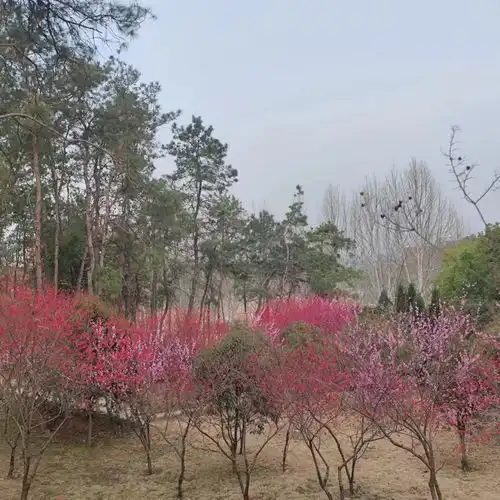 春天风景

