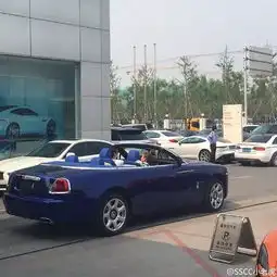 土豪的日常王思聪买顶级豪车像买菜亲自试驾
