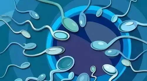 男性长期禁欲,精子憋而不排,会憋坏身体吗男女都该了解下
