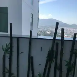 三大美女的越南小清新之旅胡志明美奈大叻芽庄春节行
