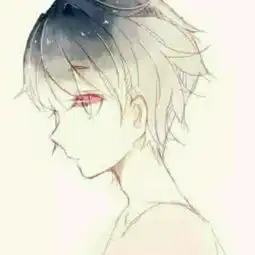 帮忙找这个图的另一半
